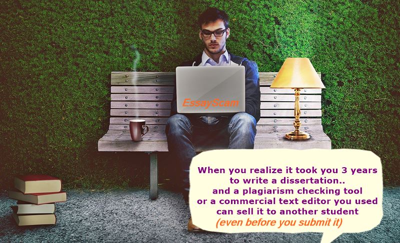 Grammarly for students terms of use and licensing