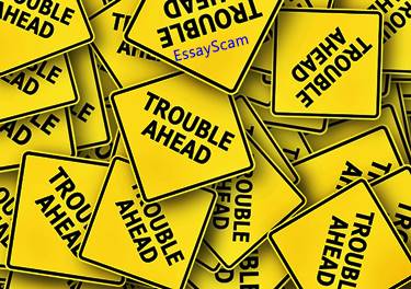 Essay Academia Complaint