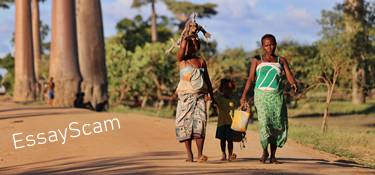 Africa Research