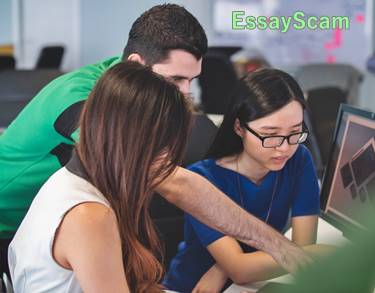 Assignment Help Assignment Help