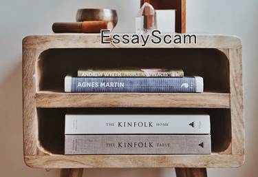 Assist Essay Assist Essay