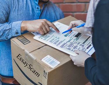 Essay Author Outsourcing