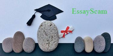 Better Dissertation Better Dissertation