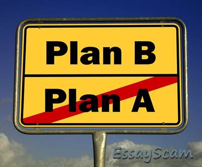APN Business Plan