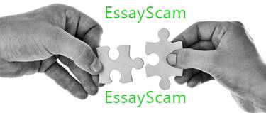 Common Research Websites