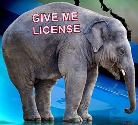 Content License