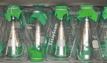 Coursework Assignment