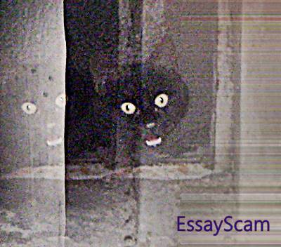 Essay Paper Purchase Discovery