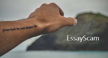 Dream Essay