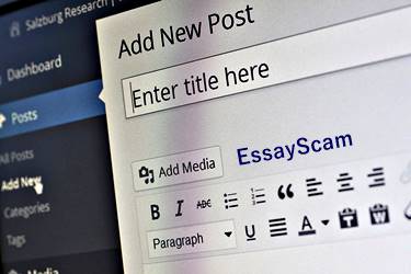 English Language Editor