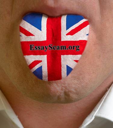 English Language Feedback