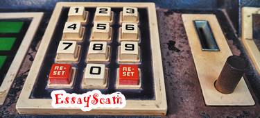 Essay Writer Affiliate