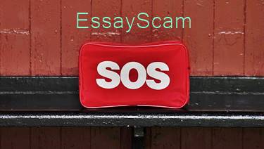 Essay SOS Alert