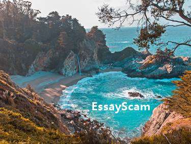 Essay Writing Bay
