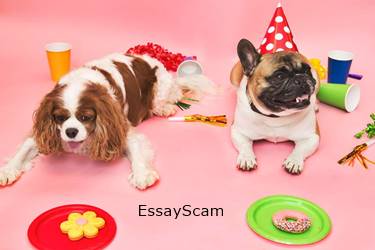 Essay Dogs