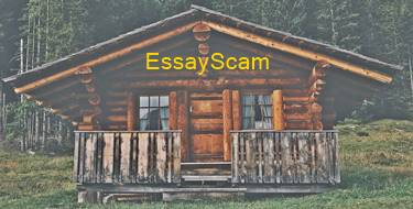 Essay Paper House