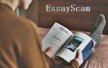 Custom Essay Master