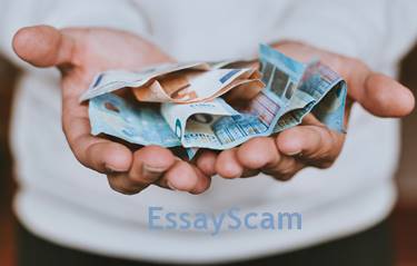 Essay Money