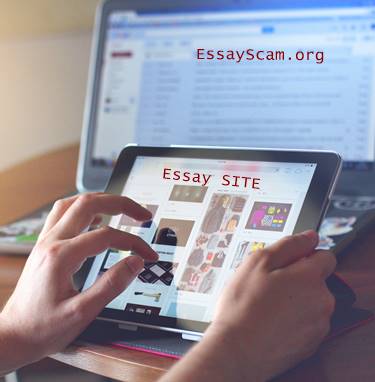 Good Essay Site Good Essay Site