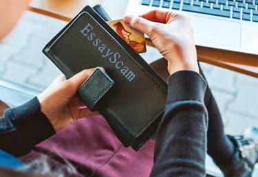 Essay Wallet
