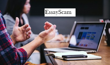 Essay Council Essay Council