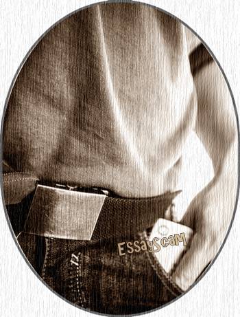 Freelance Writer - Company Price