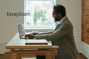 Freelancing Career