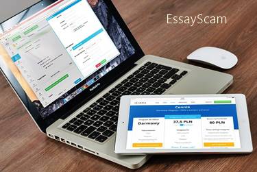 Making Freelancing Money