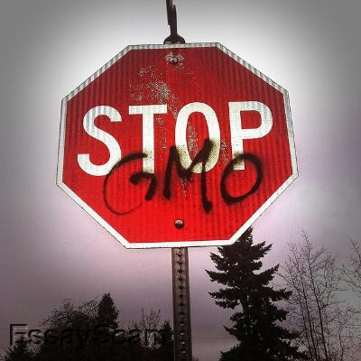 GMO University