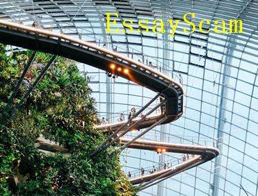 High Research Standards High Research Standards