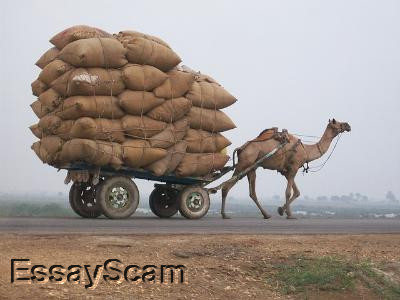 International Logistic - Case Study