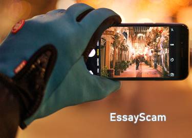 Writers Investigation