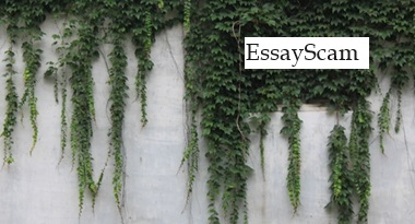 Ivy Thesis