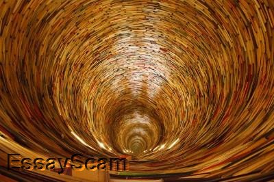 Literature Contribution Research Project