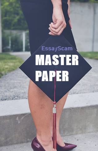 Master Paper