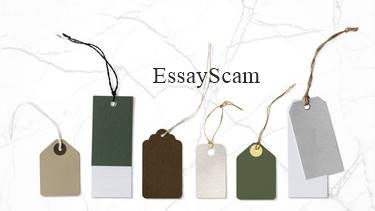 Multiple Freelancing