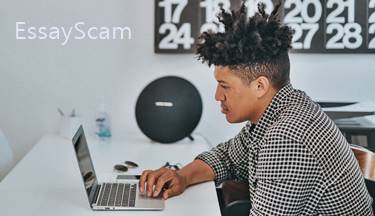 New Freelancer New Freelancer