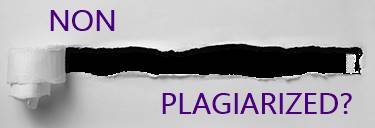 No Plagiarism?