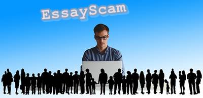 Frelancer Writer Online