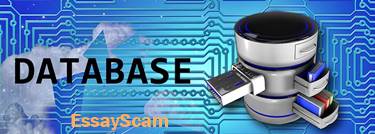 Database of Papers