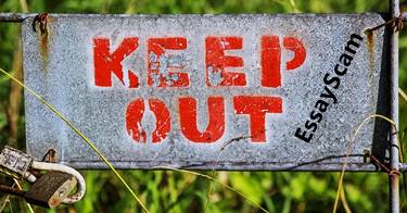 Freelance Writer Petition