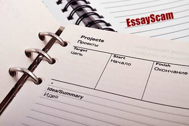 Plagiarism Info Report