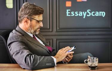Professional Writer