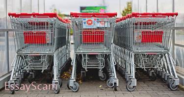 Purchase Essays