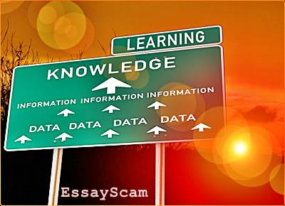 Quantitative Writing