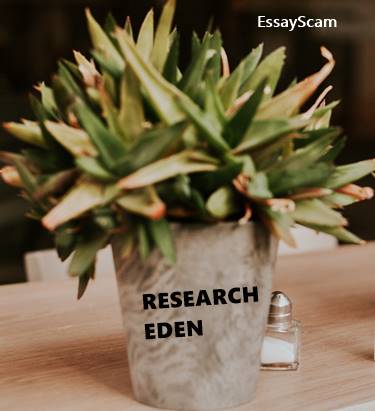 Research Eden