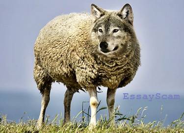 Research Threat Wolf