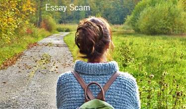 Beginner writers road