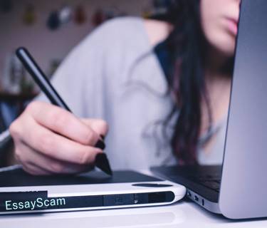 Self-Employed Writer