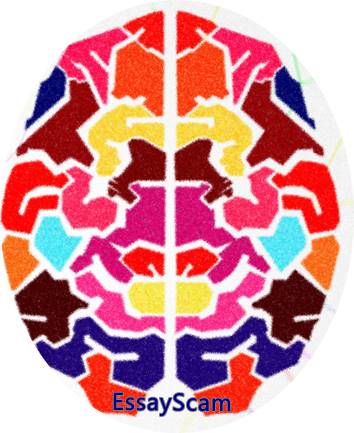 Social Psychology Research Study